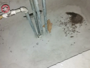 双江卫生间测漏水价格明细